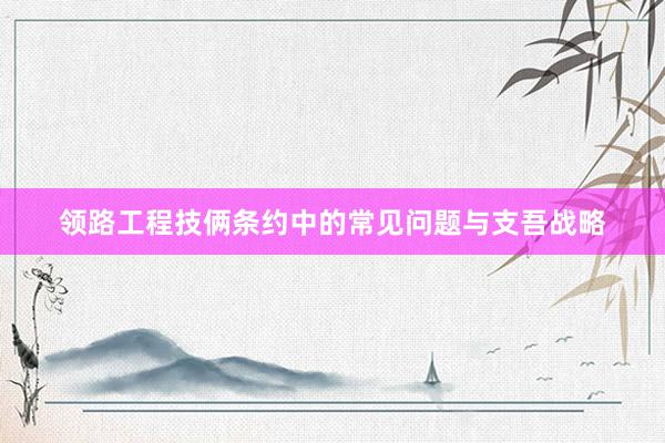 领路工程技俩条约中的常见问题与支吾战略