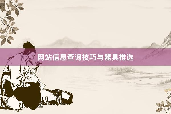 网站信息查询技巧与器具推选