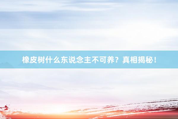 橡皮树什么东说念主不可养？真相揭秘！